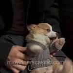 Avatar de Manuel Ortiz